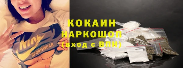 прущие грибы Арсеньев