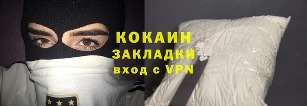 прущие грибы Арсеньев