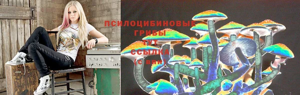 а пвп мука Армянск