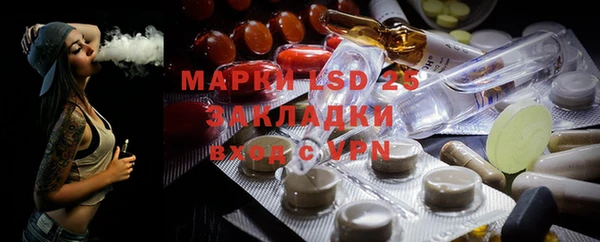 прущие грибы Арсеньев