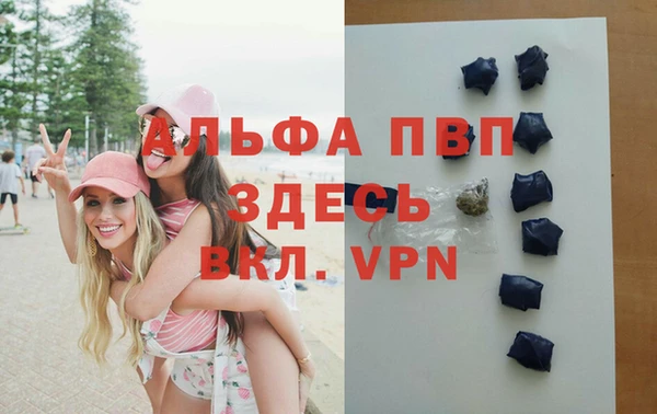 прущие грибы Арсеньев