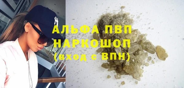 прущие грибы Арсеньев