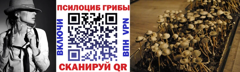 hydra как войти  Никольское  Галлюциногенные грибы Psilocybine cubensis 