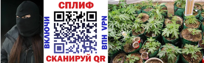 МАРИХУАНА план  Никольское 